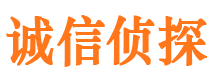 东至市调查公司